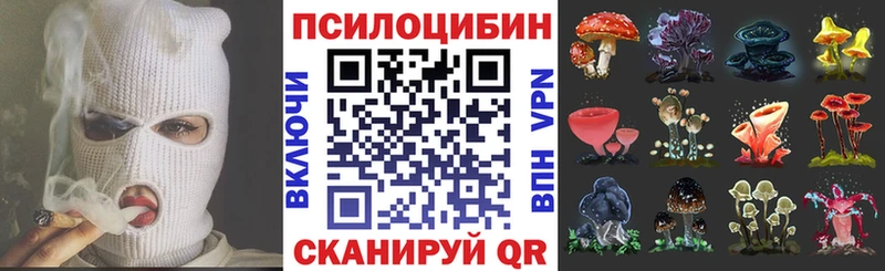 Псилоцибиновые грибы мицелий Назарово