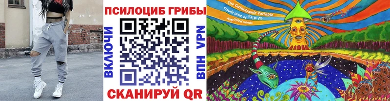 omg ТОР  Назарово  Псилоцибиновые грибы Magic Shrooms 